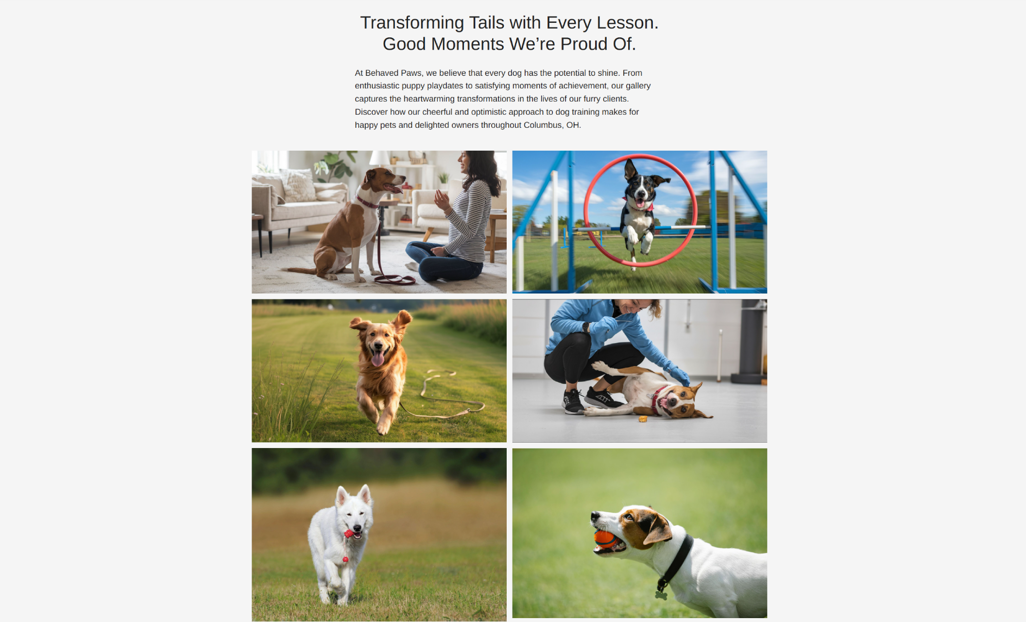 Behaved Paws gallery page showing six photos of dogs in training—including obedience work, agility, play sessions, and outdoor runs—beneath the headline “Transforming Tails with Every Lesson. Good Moments We’re Proud Of.”