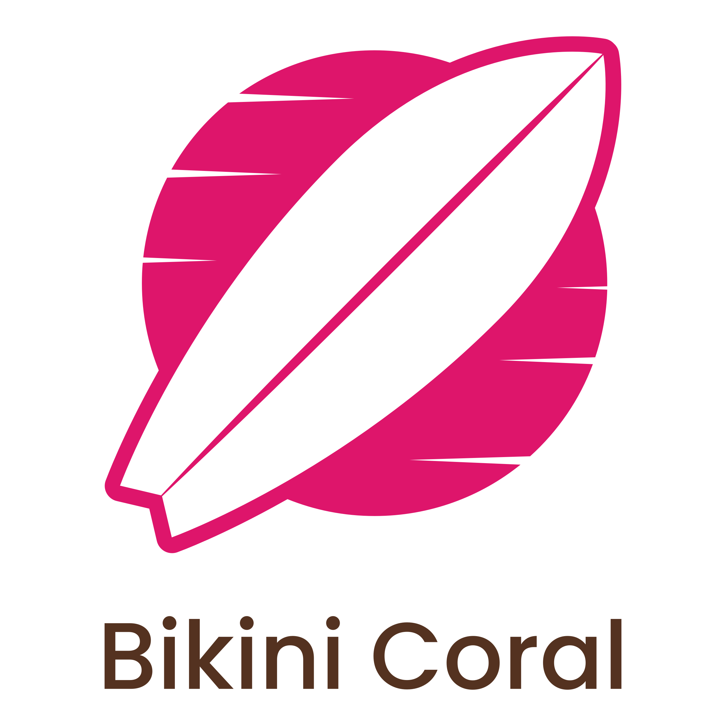 bikini brands logo