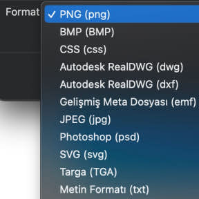 Bir dosya formatı seçin.