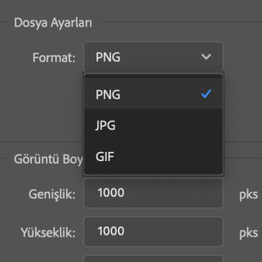 Bir dosya formatı seçin.