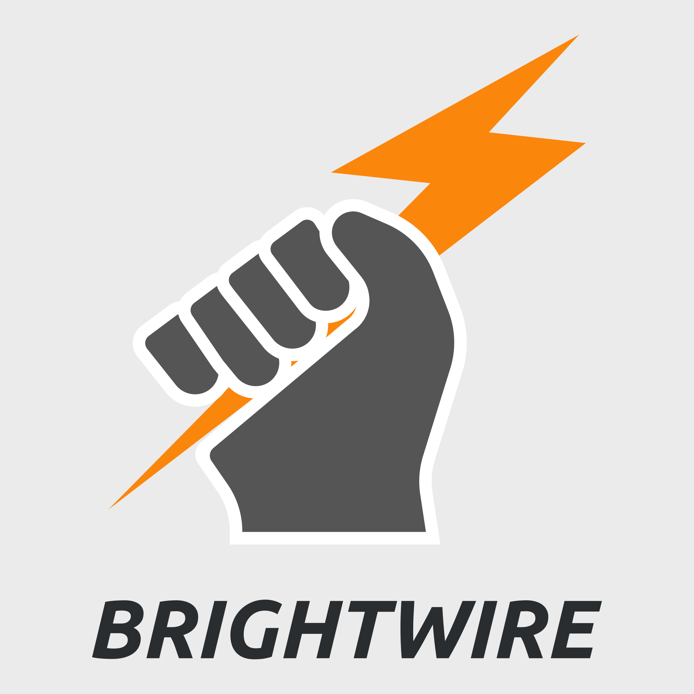 Electric Wire Logo
