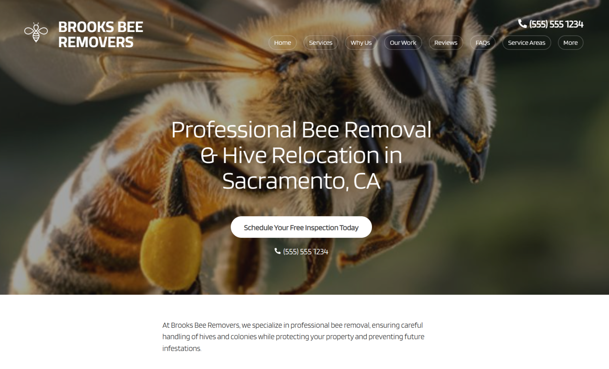 Brooks Bee Removers homepage showing a close-up image of a honeybee with the headline “Professional Bee Removal & Hive Relocation in Sacramento, CA” and a button that reads “Schedule Your Free Inspection Today.”