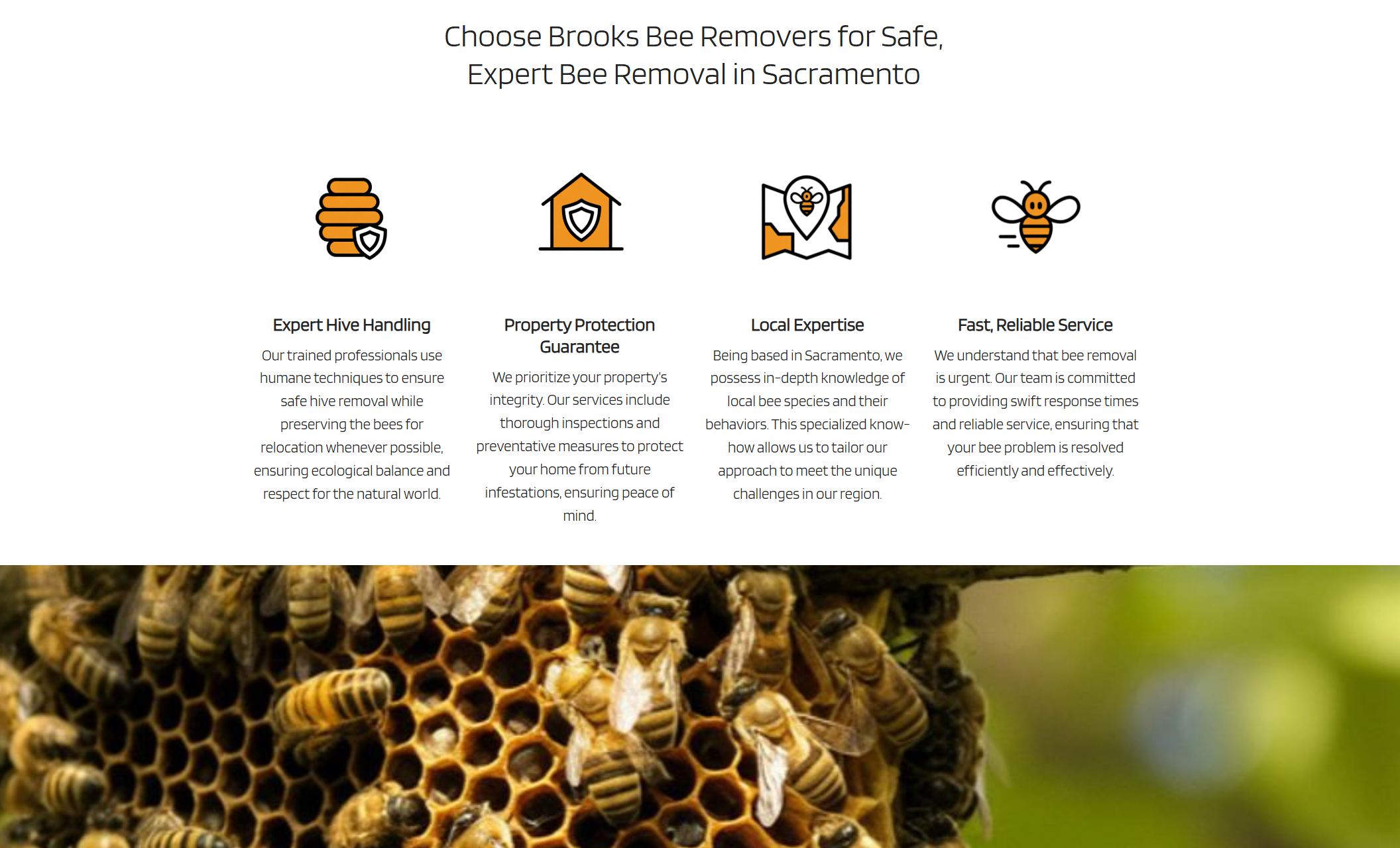 Service benefits section titled “Choose Brooks Bee Removers for Safe, Expert Bee Removal in Sacramento,” featuring icons and descriptions for expert hive handling, property protection, local expertise, and fast service