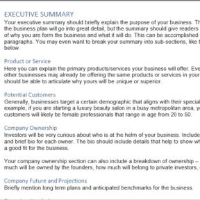 Write a business plan.