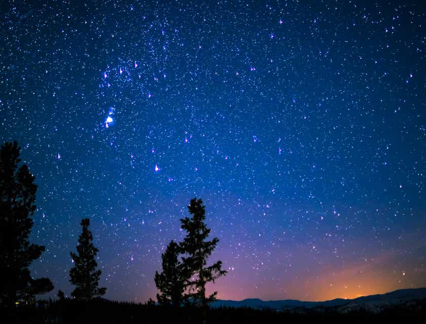 Un paesaggio celestiale con le silhouette di alcuni alberi davanti a un cielo notturno pieno di stelle.
