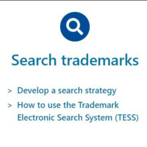 Check trademark availability.