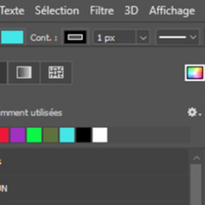 Choisissez la couleur du contour.