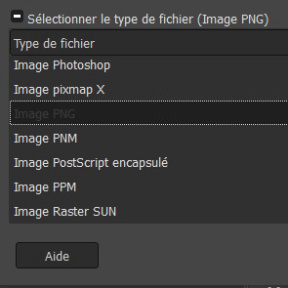 Choisissez un format de fichier.