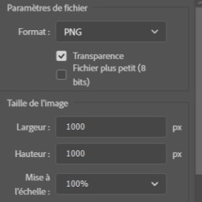 Choisissez un format de fichier.