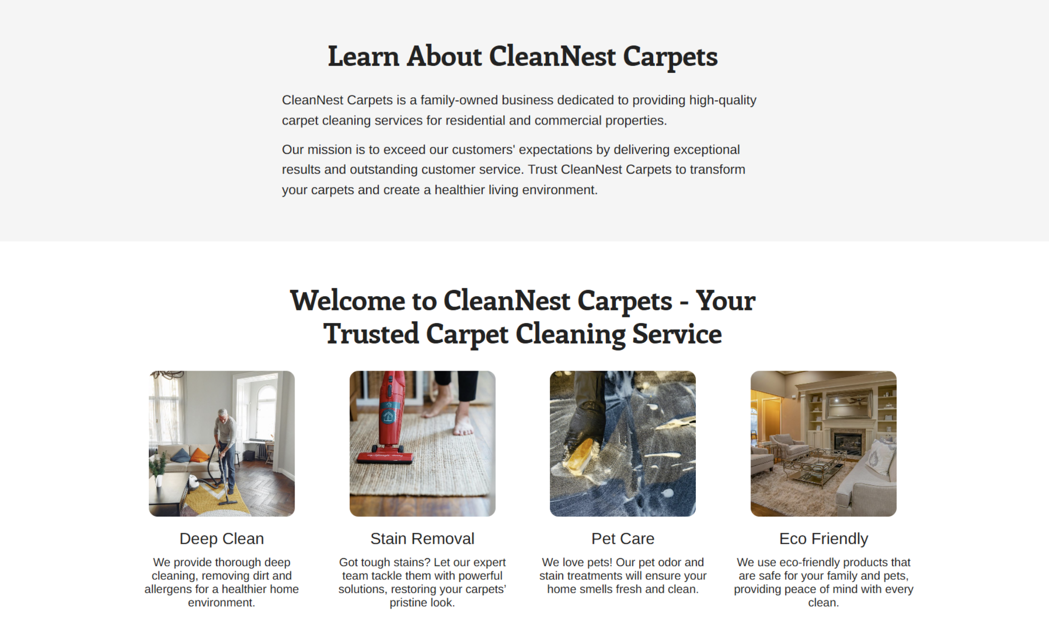 "Learn More" section with a company description followed by a services section showing four of CleanNest Carpets' main offerings, each with an accompanying image and concise description