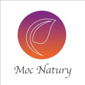 Wypróbuj różne style swojego projektu.