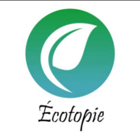 Comparez les différents styles de votre design.