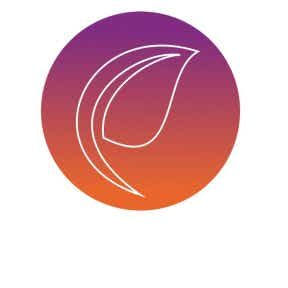 Compara diferentes estilos de tu diseño.