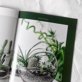 Create a business portfolio.