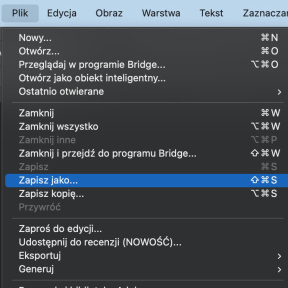 Zapisz utworzony plik.