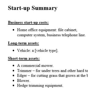 Create a start-up summary.