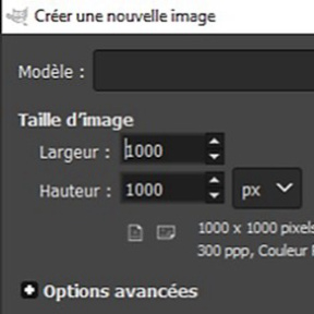 Définissez la taille de l'image.