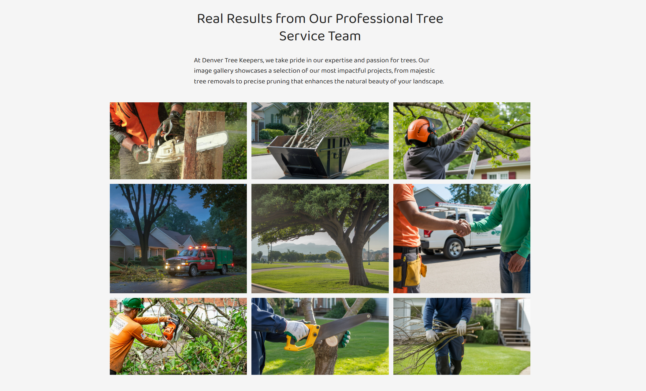 Denver Tree Keepers website gallery titled “Real Results from Our Professional Tree Service Team,” showing nine photos of arborists cutting branches with chainsaws, trimming trees from ladders, hauling debris, and completing residential tree care projects