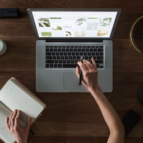 Build and maintain an updated website.