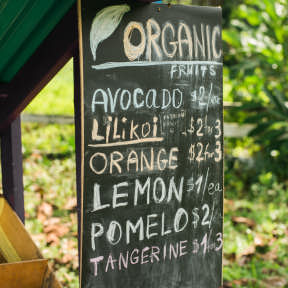 Detail your business offerings.