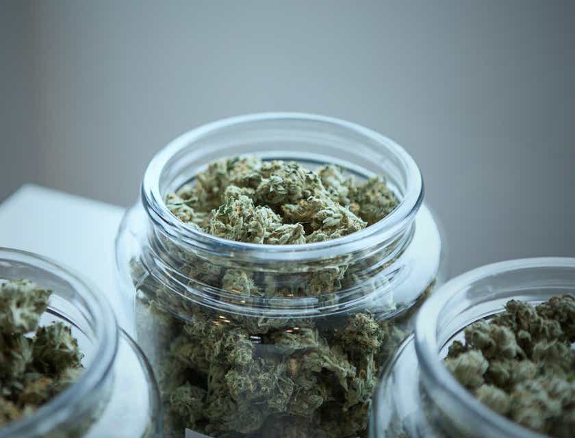 Des pots de cannabis dans un dispensaire de cannabis.