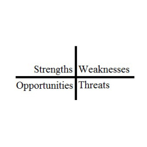 Do a SWOT analysis.