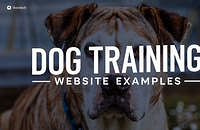 Image of a dog standing at attention with overlaying text that reads "Dog Training Website Examples"