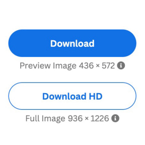 Download the HD version of your logo.