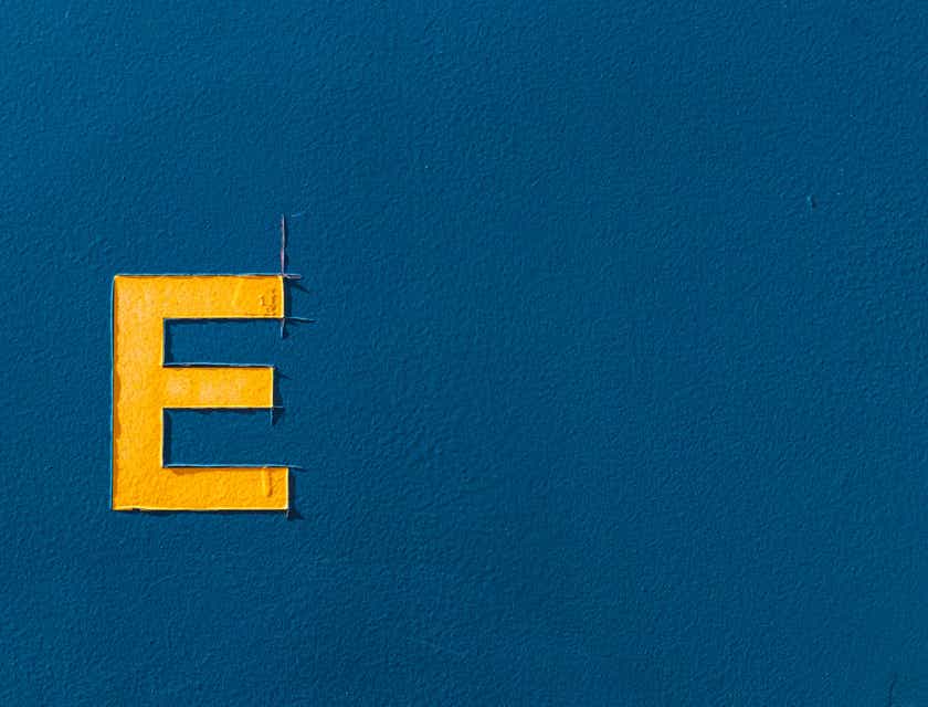 A yellow "E" letterform displayed against a blue backdrop.