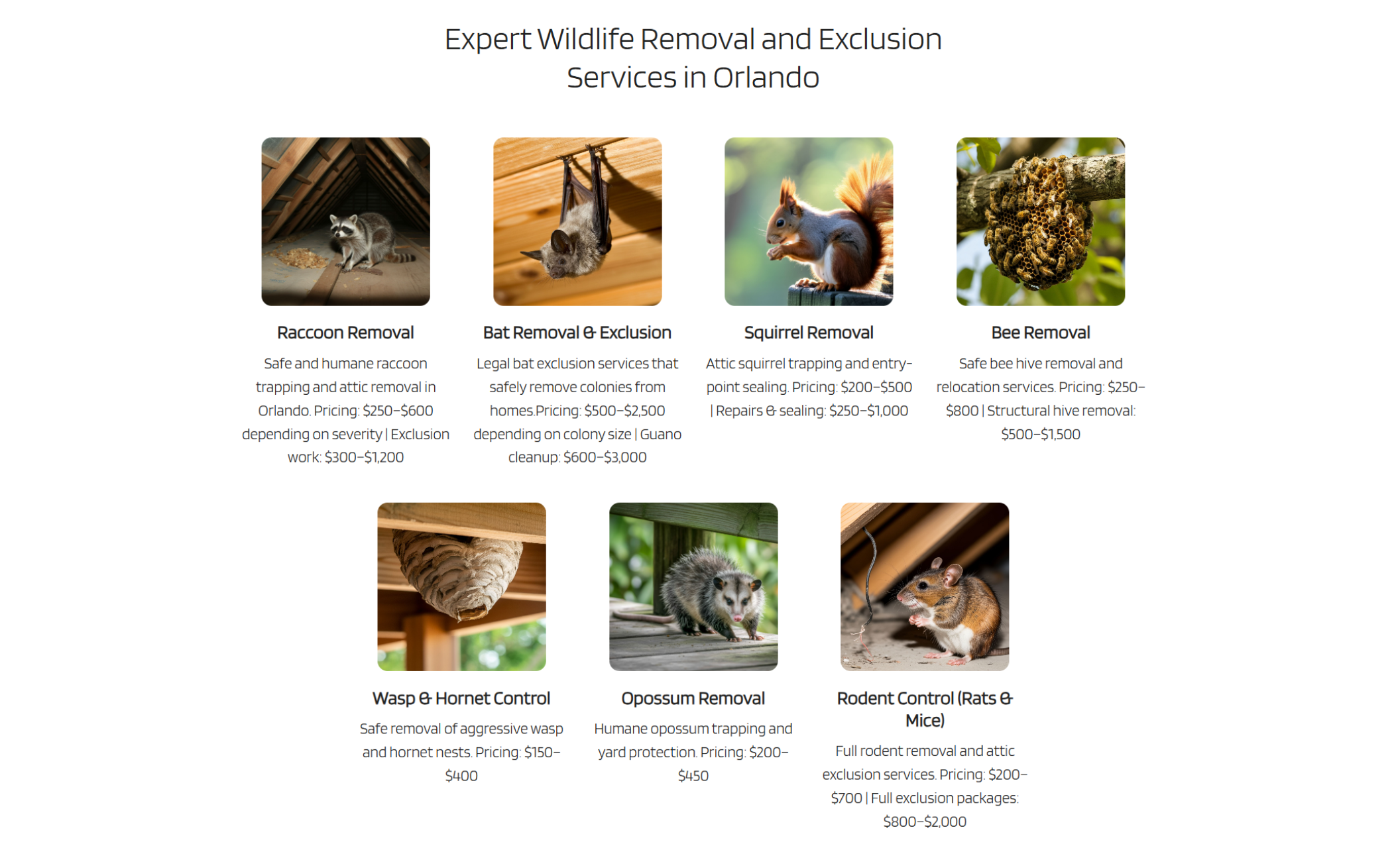 Wildlife removal services section titled “Expert Wildlife Removal and Exclusion Services in Orlando” displaying service cards for raccoon removal, bat removal, squirrel removal, bee removal, and rodent control
