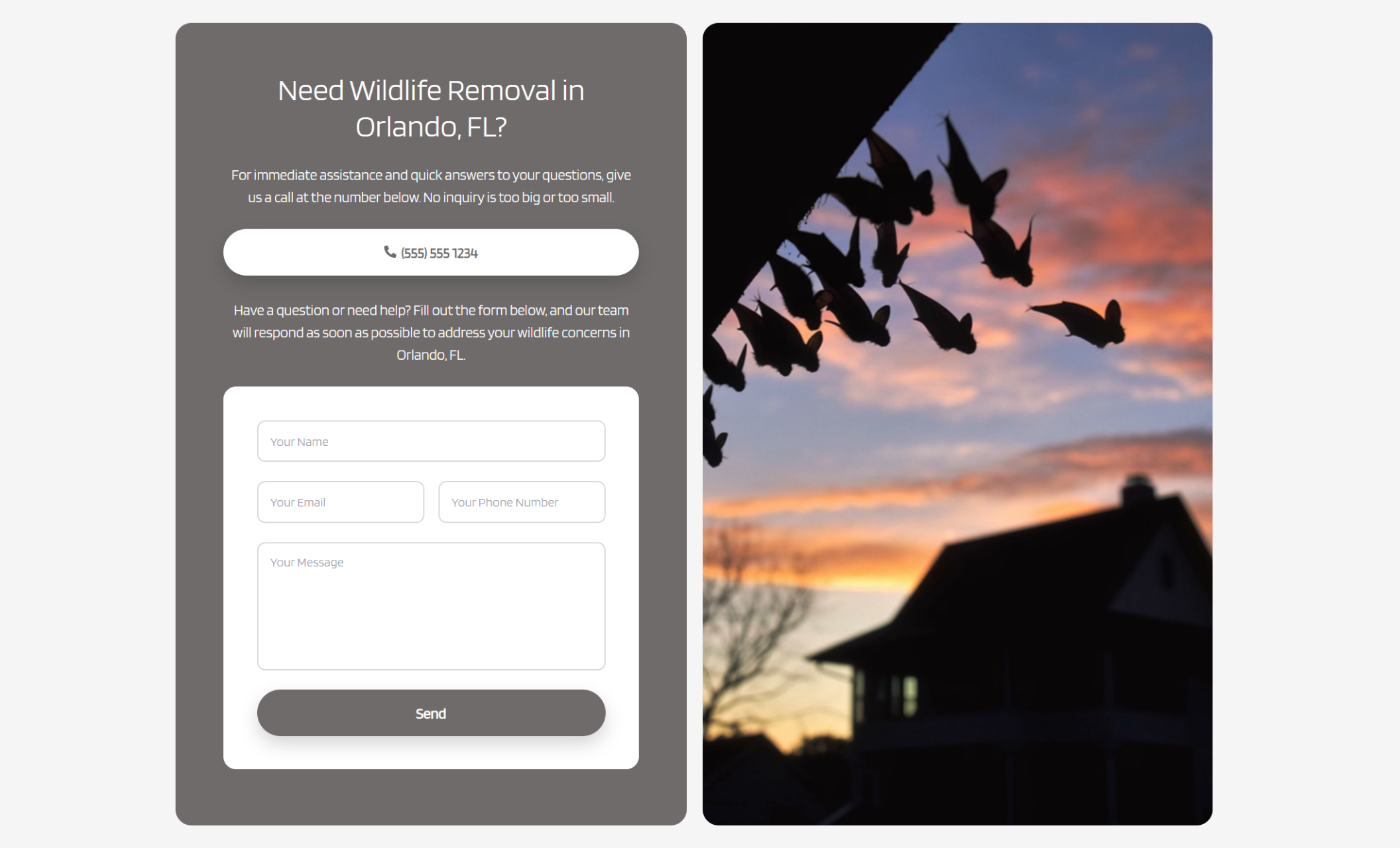 Contact section titled “Need Wildlife Removal in Orlando, FL?” with a phone number button, message form, and a photo of bats flying near a house at sunset