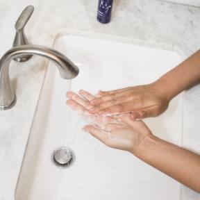 Ensure that cleanliness standards are followed.