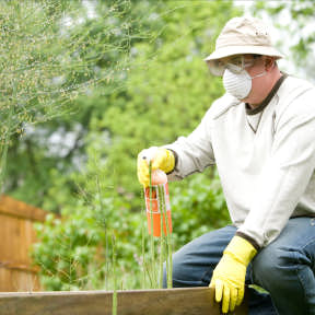 Ensure you have the necessary skills.