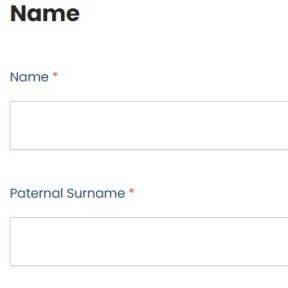 Enter the filer's details.