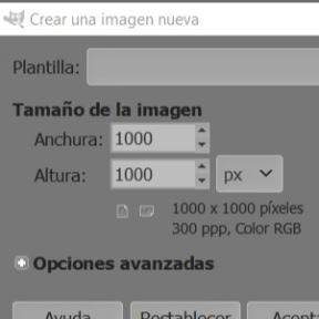 Establece el tamaño de la imagen.