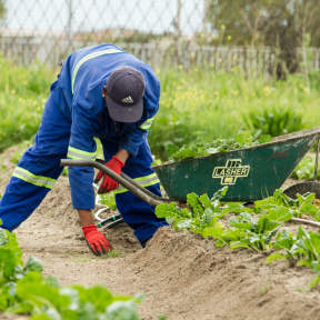 Make sure it's the best career decision for you.