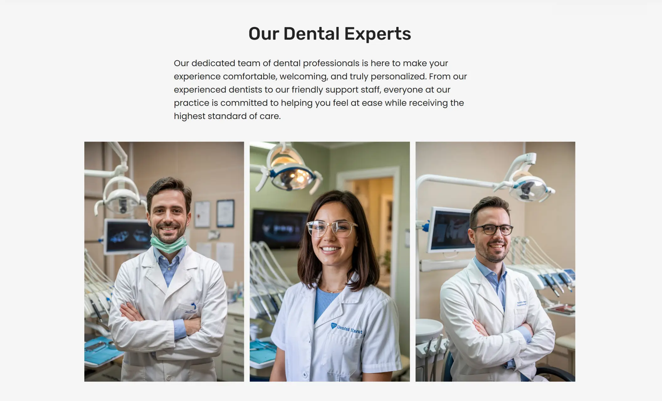 EverFresh Smiles' website displaying an image gallery introducing their dental experts