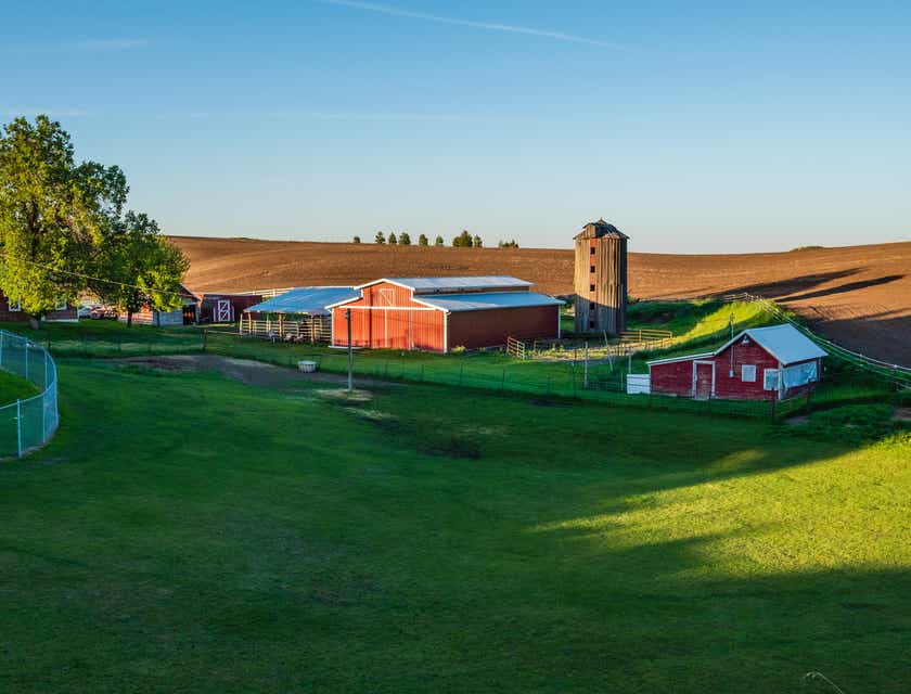 Farm yard with house, shed, grain storage, and outbuildings.
