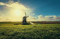 Farm website examples.