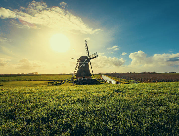 Farm Website Examples - 5 Sites That Show Off Their Harvest