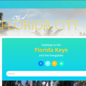Apply for a local city business tax receipt.
