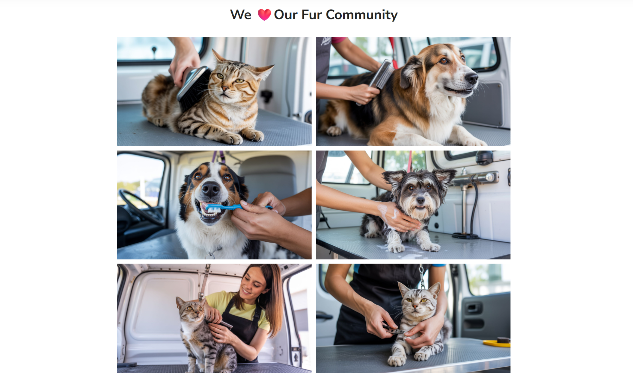 Collage of six images featuring groomers brushing, washing, trimming nails, and brushing teeth of cats and dogs inside a mobile grooming van, all under the title “We ❤️ Our Fur Community.”