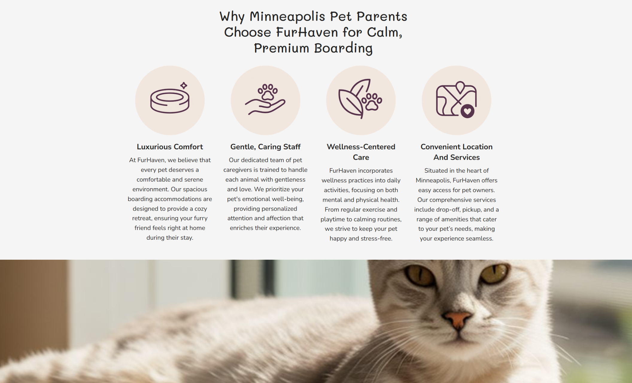 The FurHaven “Why Minneapolis Pet Parents Choose Us” section showing four illustrated icons for comfort, caring staff, wellness, and convenience, positioned above a soft-focus photo of a cream-colored cat lounging peacefully