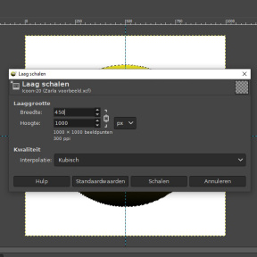 Pas de grootte van de modelafbeelding aan