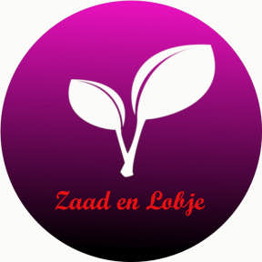 Vergelijk verschillende versies van je ontwerp