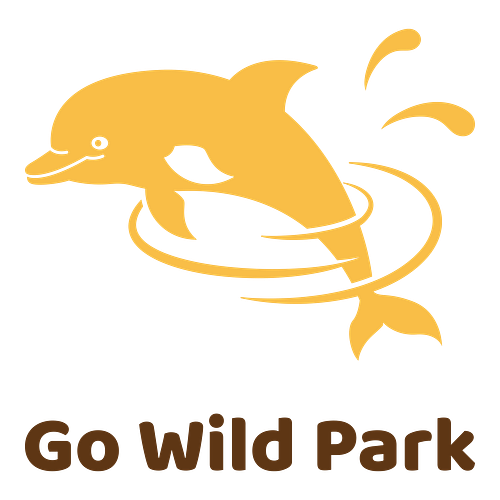 Water Park Logos + Free Logo Maker