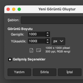 Görüntünün boyutunu ayarlayın.