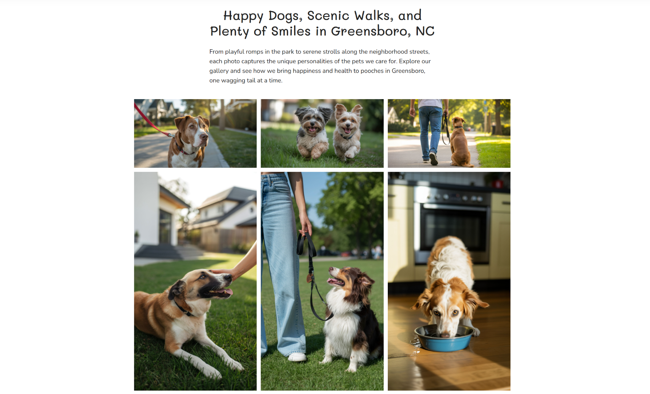 “Happy Dogs, Scenic Walks, and Plenty of Smiles in Greensboro, NC” gallery featuring six lifestyle photos of dogs walking, playing, and relaxing with their owners in parks, homes, and neighborhood settings