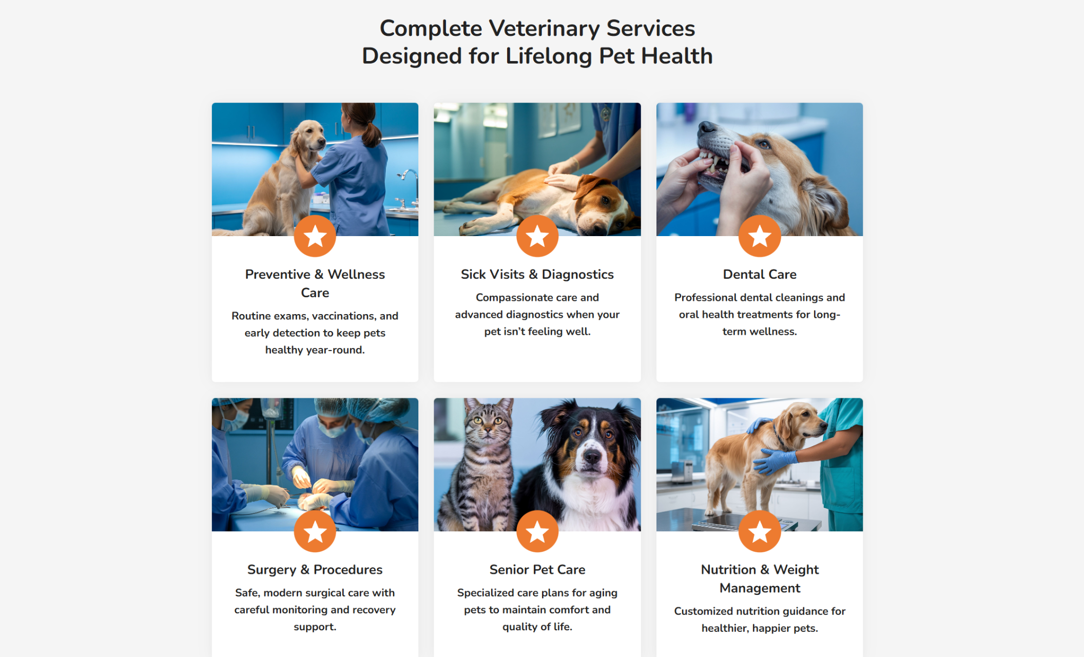 Heartland Pet Health service overview section titled “Complete Veterinary Services Designed for Lifelong Pet Health,” displaying six service cards including Preventive Care, Diagnostics, Dental Care, Surgery, Senior Pet Care, and Nutrition Management
