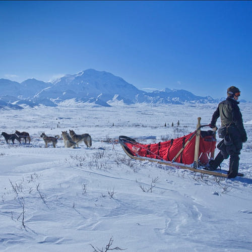 How to Start a Business in Alaska: